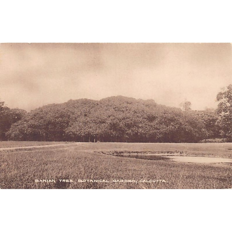 Rare collectable postcards of INDIA. Vintage Postcards of INDIA