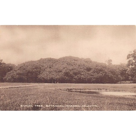 Rare collectable postcards of INDIA. Vintage Postcards of INDIA