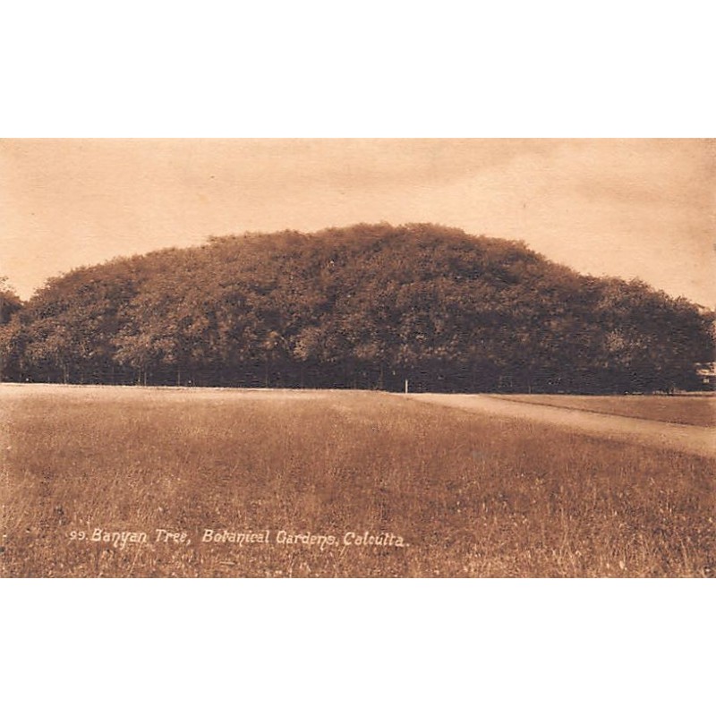 Rare collectable postcards of INDIA. Vintage Postcards of INDIA
