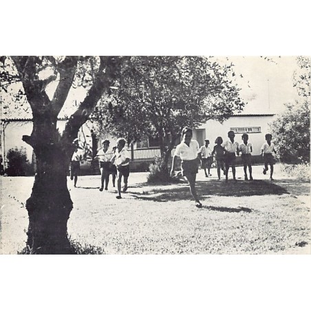 Rare collectable postcards of ISRAEL & PALESTINE. Vintage Postcards of ISRAEL & PALESTINE