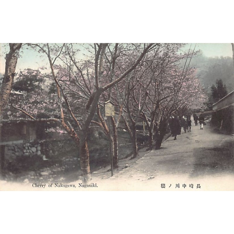 Rare collectable postcards of JAPAN. Vintage Postcards of JAPAN