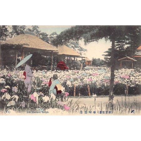 Rare collectable postcards of JAPAN. Vintage Postcards of JAPAN