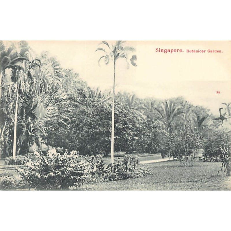 Rare collectable postcards of SINGAPORE. Vintage Postcards of SINGAPORE