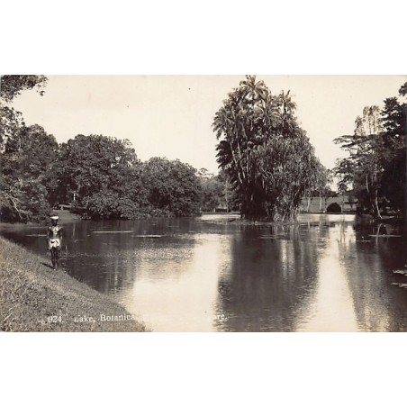 Rare collectable postcards of SINGAPORE. Vintage Postcards of SINGAPORE