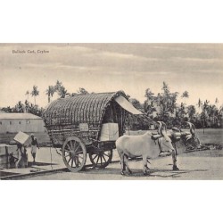 Rare collectable postcards of SRI LANKA Ceylon. Vintage Postcards of SRI LANKA Ceylon