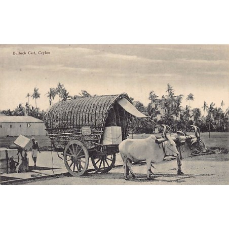 Rare collectable postcards of SRI LANKA Ceylon. Vintage Postcards of SRI LANKA Ceylon