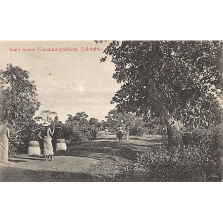 Rare collectable postcards of SRI LANKA Ceylon. Vintage Postcards of SRI LANKA Ceylon