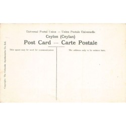 Rare collectable postcards of SRI LANKA Ceylon. Vintage Postcards of SRI LANKA Ceylon