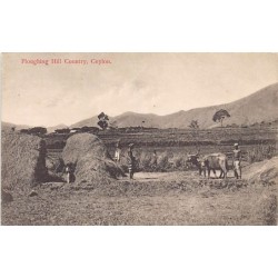 Rare collectable postcards of SRI LANKA Ceylon. Vintage Postcards of SRI LANKA Ceylon