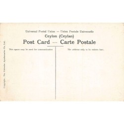 Rare collectable postcards of SRI LANKA Ceylon. Vintage Postcards of SRI LANKA Ceylon