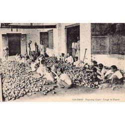 Rare collectable postcards of SRI LANKA Ceylon. Vintage Postcards of SRI LANKA Ceylon