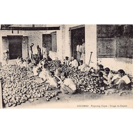 Rare collectable postcards of SRI LANKA Ceylon. Vintage Postcards of SRI LANKA Ceylon