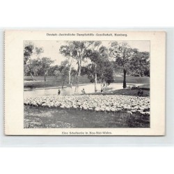 Rare collectable postcards of AUSTRALIA. Vintage Postcards of AUSTRALIA