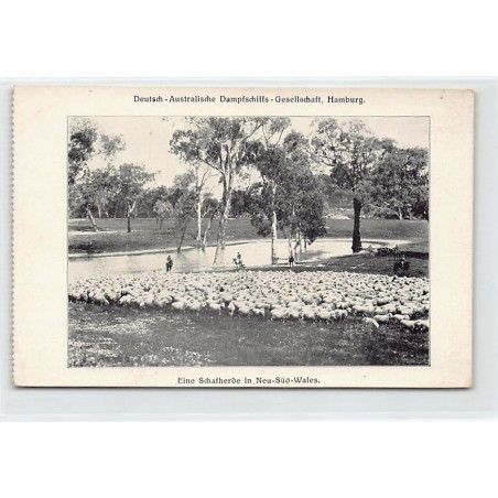 Rare collectable postcards of AUSTRALIA. Vintage Postcards of AUSTRALIA