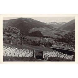 Rare collectable postcards of AUSTRIA Österreich. Vintage Postcards of AUSTRIA Österreich