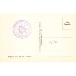 Rare collectable postcards of AUSTRIA Österreich. Vintage Postcards of AUSTRIA Österreich