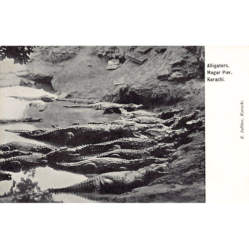 Rare collectable postcards of PAKISTAN. Vintage Postcards of PAKISTAN