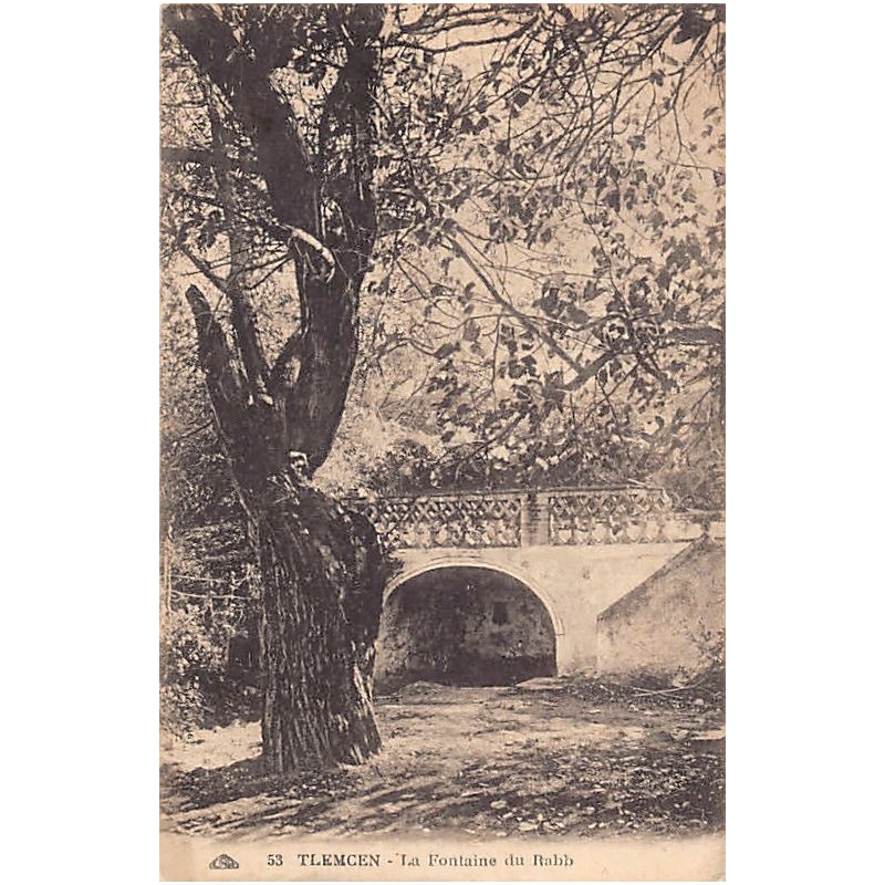 Rare collectable postcards of JUDAICA. Vintage Postcards of JUDAICA