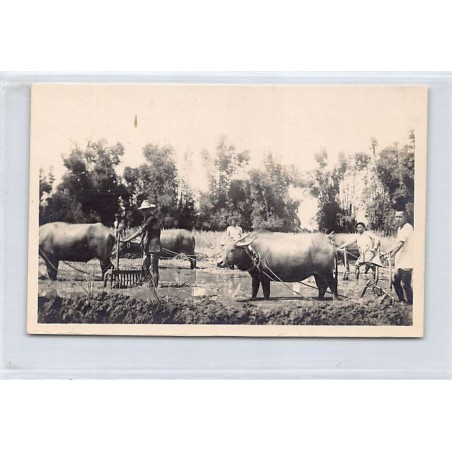 Rare collectable postcards of PHILIPPINES. Vintage Postcards of PHILIPPINES