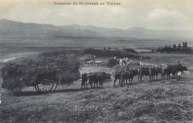 TUNISIE DOMAINE Saint Joseph de Thibar La Moisson 2 EUR 9,99